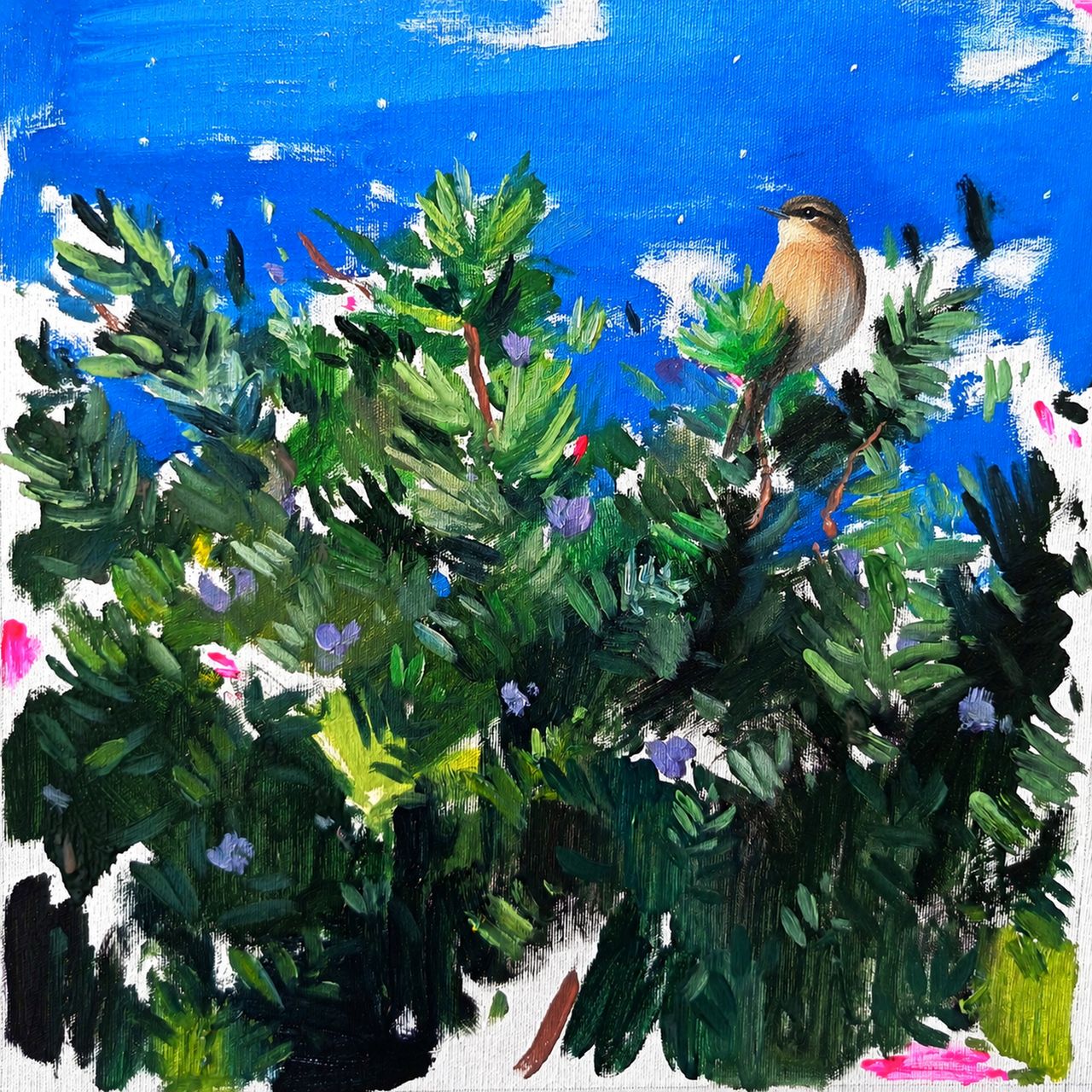 portada Calcària. Obra de Fèlix Coll